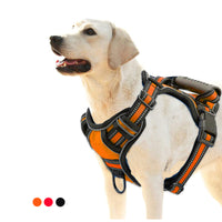 Verstellbares Hundegeschirr mit reflektierenden Details